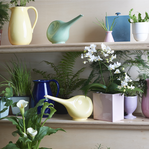 Boîte 870 | Decor 003