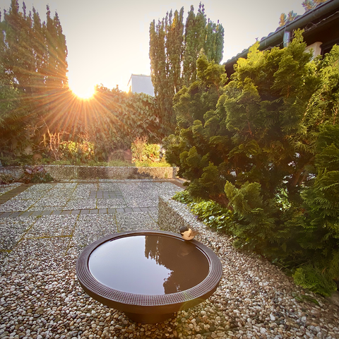 Petite mangeoire pour oiseaux | Decor 999