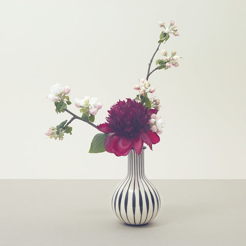 Vaso 302 | Decoro 318