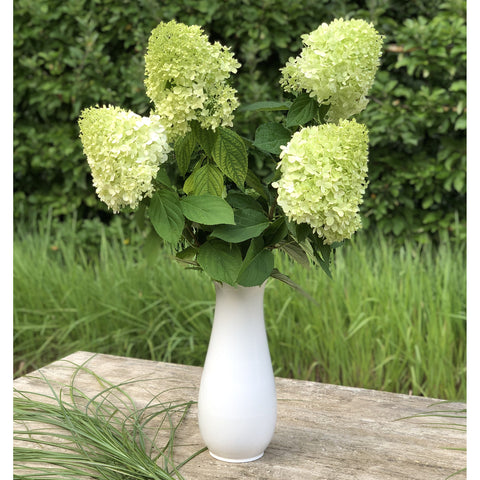 Vaso 722C | Decoro 050-7