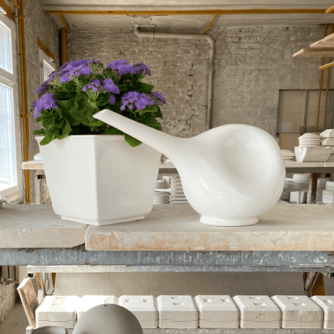 Coprivaso 757 | Decoro 947