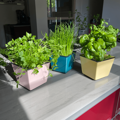 Übertopf HB 757 | Dekor 056-1