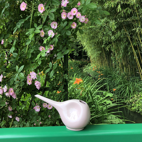 Arrosoir 766A | Decor 002