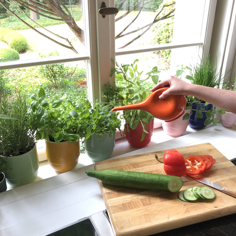 Annaffiatoio 766A | Decoro 001