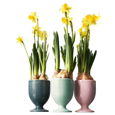 Verres Ensemble 3-tlg. 597 | Decor 999