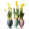 Verres Ensemble 3-tlg. 597 | Decor 999